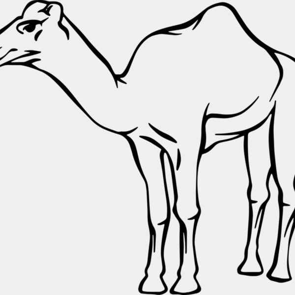 Camel   Clipart 2 Thumbnail