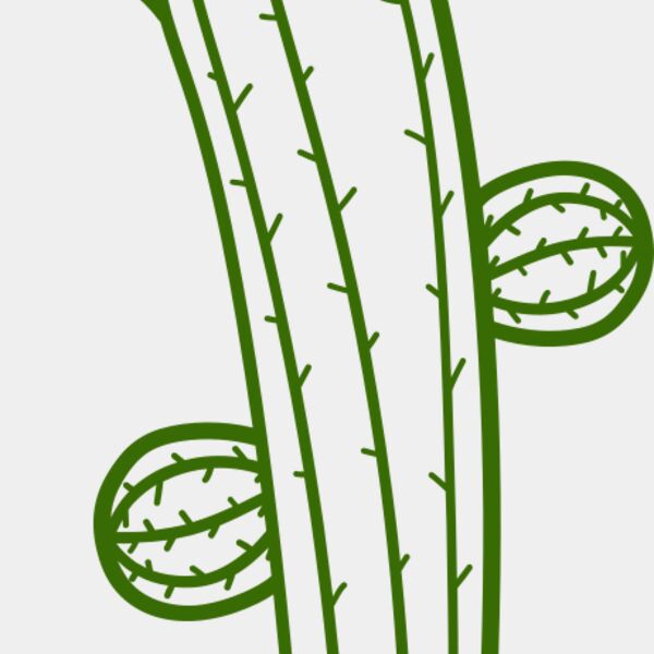 Cactus Thumbnail