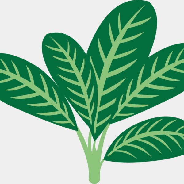 Plants 7 Thumbnail