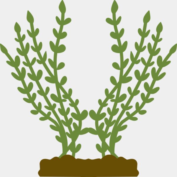 Plants 4 Thumbnail