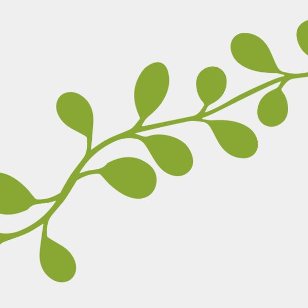 Leaves 13 Thumbnail