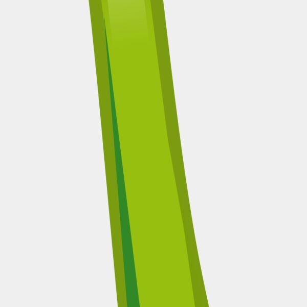 Celery  Thumbnail