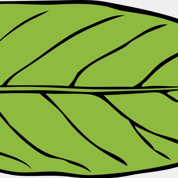 Leaf 1 Thumbnail