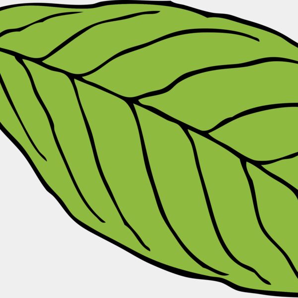 Leaf 2 Thumbnail