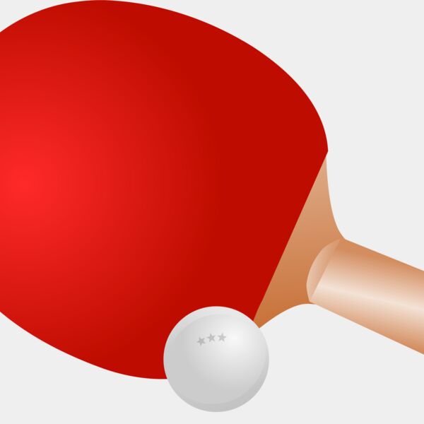 Ping Pong Paddle 1 Thumbnail