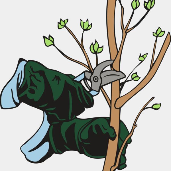 landscapeD25 Thumbnail