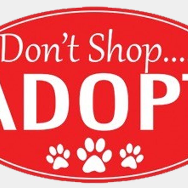 Adopt Don t Shop Thumbnail