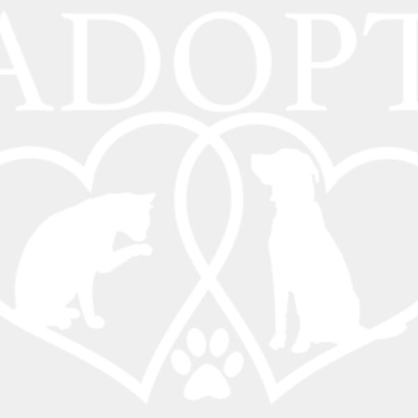 Adopt Thumbnail