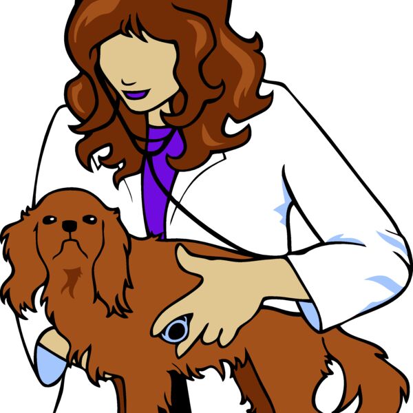 VetD002 eps Thumbnail