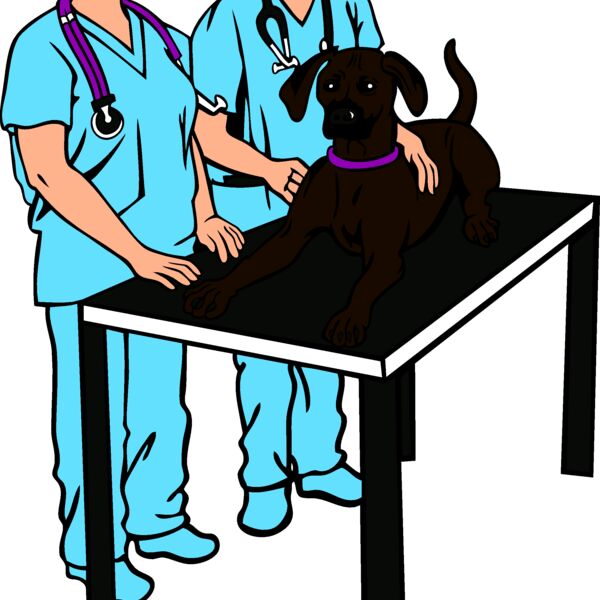 VetM004 eps Thumbnail