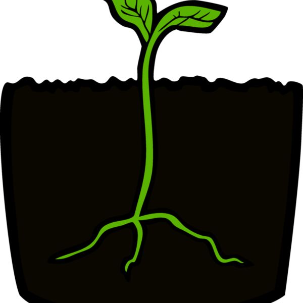 LandscapeD15 eps Thumbnail