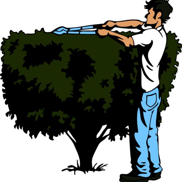 LandscaperD08 eps Thumbnail