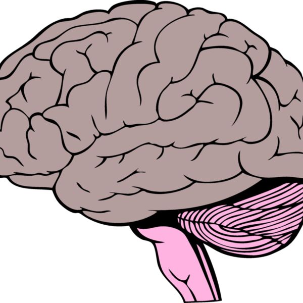 BrainC001 eps Thumbnail