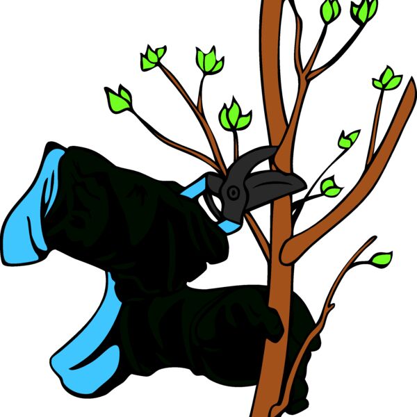 landscapeD25 eps Thumbnail