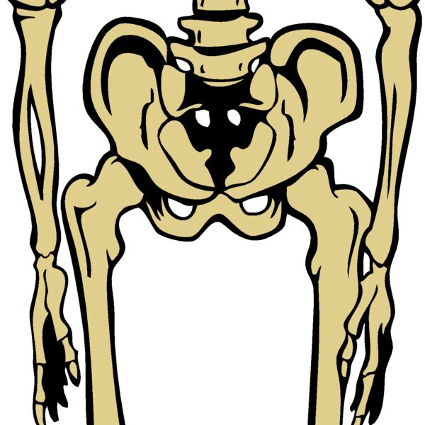 Skeletonj020 eps Thumbnail