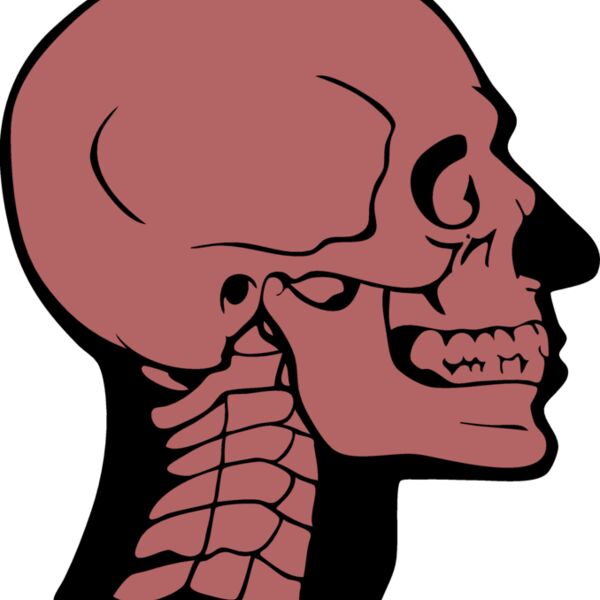 skullD02 eps Thumbnail