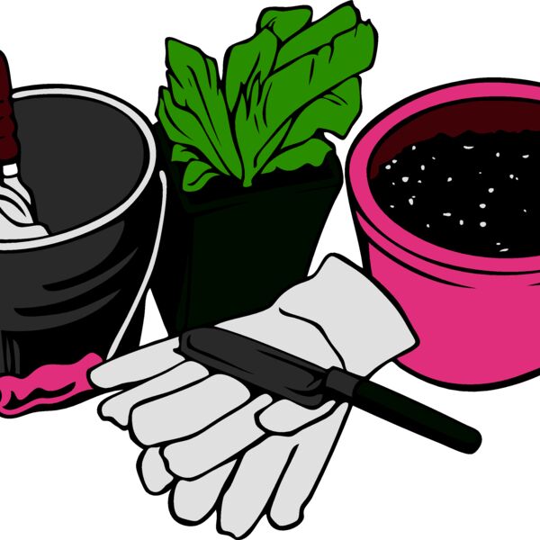 landscapeD31 eps Thumbnail