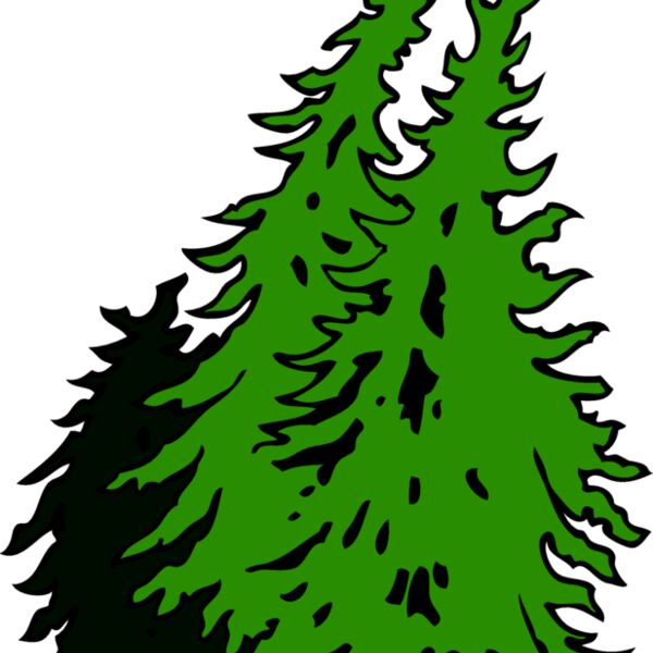 Tree02V4clr eps Thumbnail