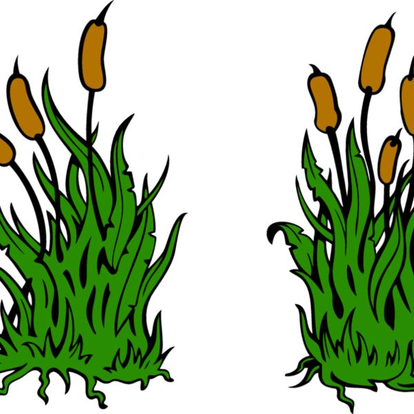 Leaves02V4clr eps Thumbnail