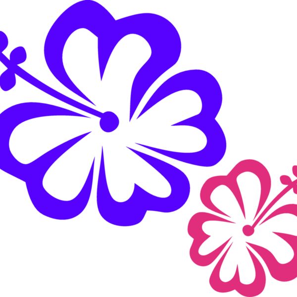 HIBISCUS2 eps Thumbnail