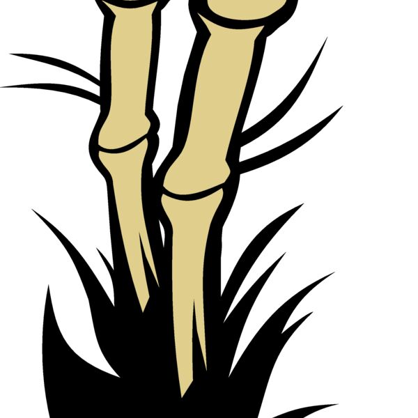 bamboo eps Thumbnail