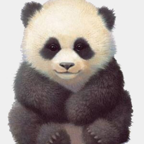 Baby Panda Thumbnail
