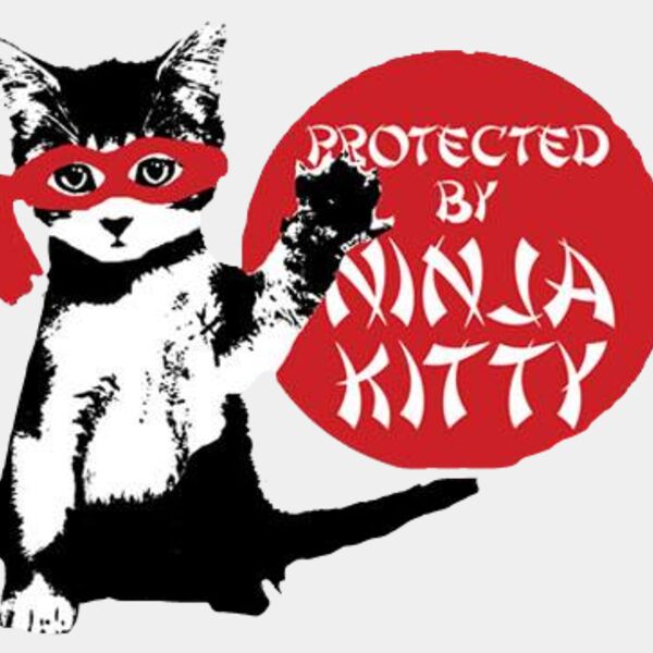 Ninja Kitty Thumbnail
