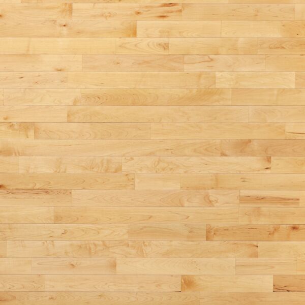 Basketball Floor Thumbnail