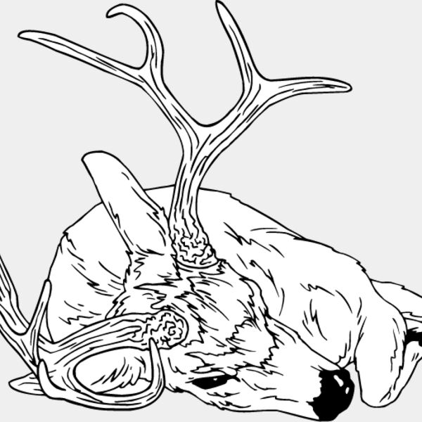 Deer Hunting7 Thumbnail