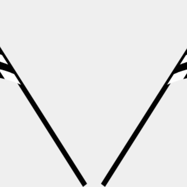 Checkered Flags2 Thumbnail