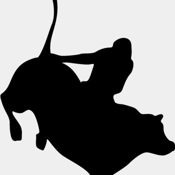 Bull Rider3 Thumbnail