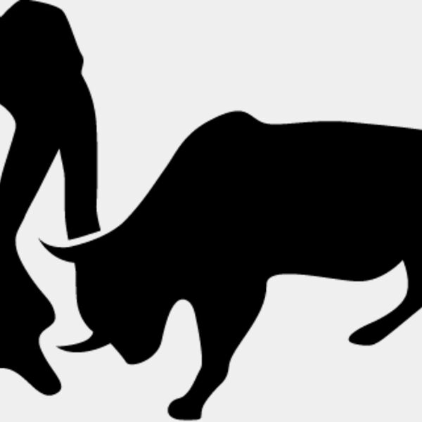 Bull Fighting5 Thumbnail