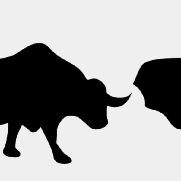 Bull Fighting2 Thumbnail