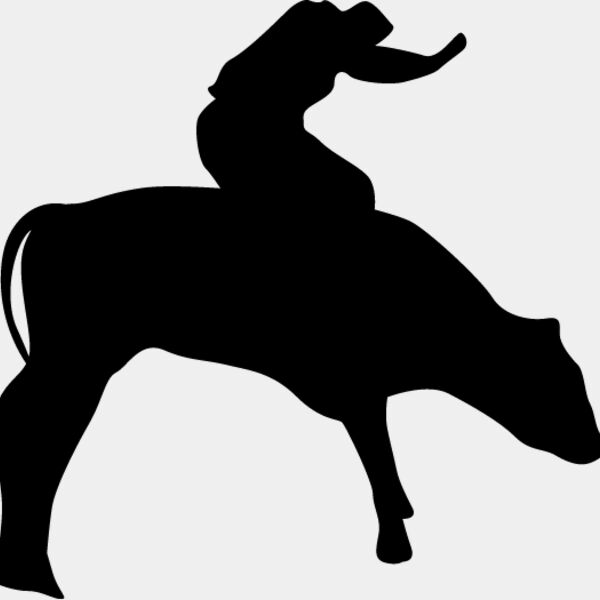 Bull Rider5 Thumbnail