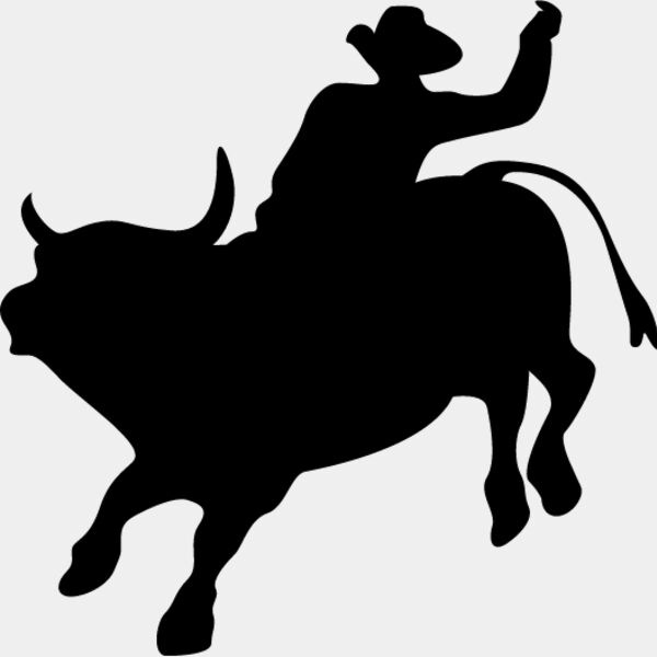 Bull Rider1 Thumbnail
