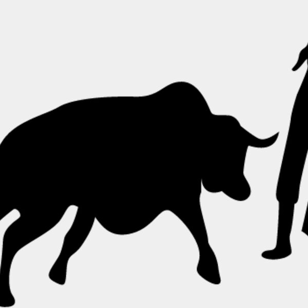 Bull Fighting1 Thumbnail