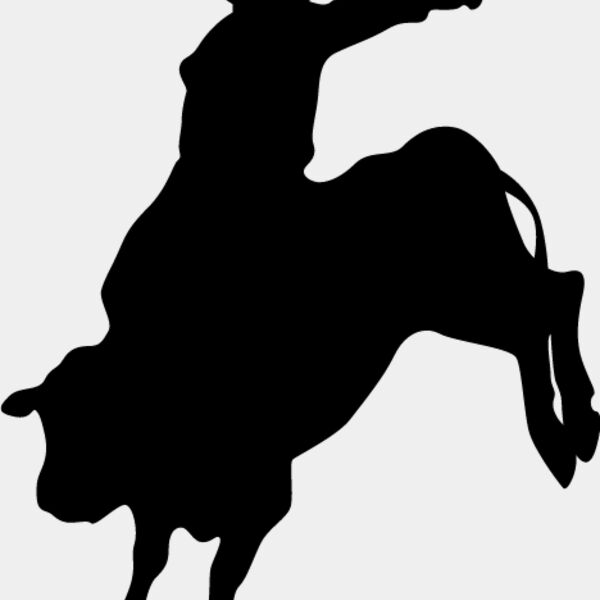 Bull Rider2 Thumbnail