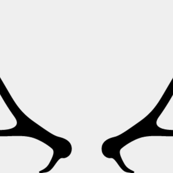 Deer Rack5 Thumbnail