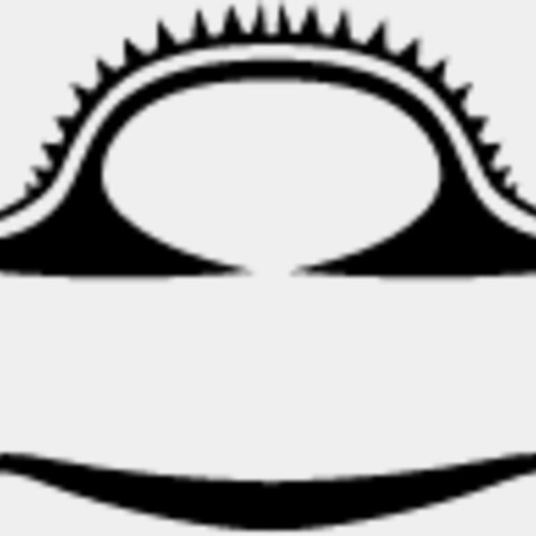 Open Shield2 Thumbnail