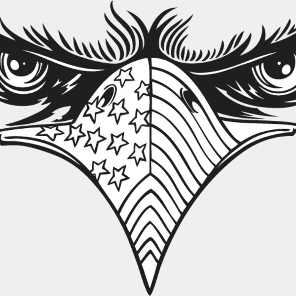 USA Eagle2 Thumbnail