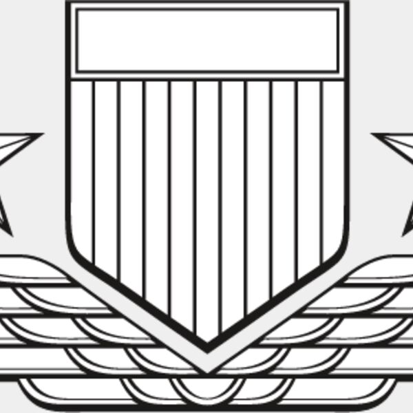 USA Badge2 Thumbnail