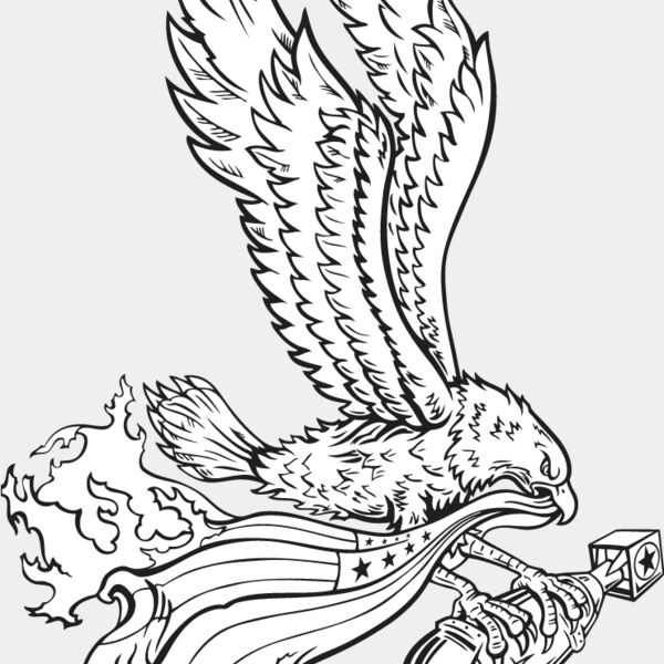 USA Eagle3 Thumbnail