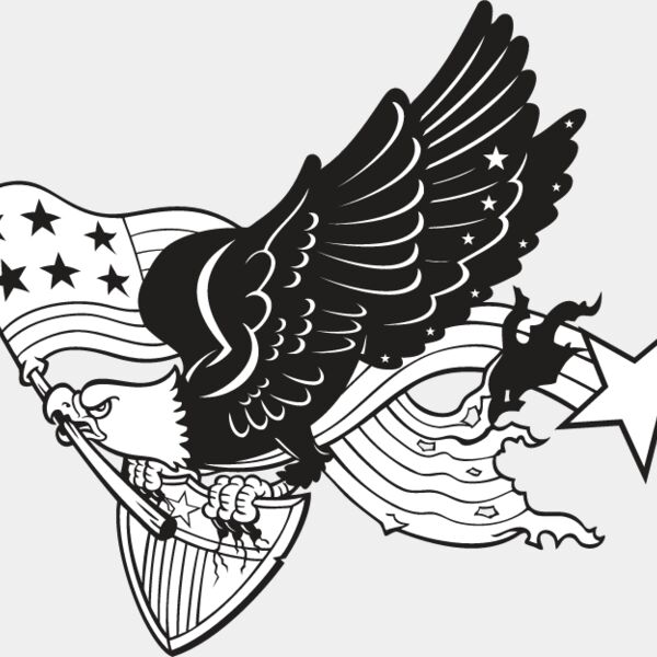 USA Eagle6 Thumbnail