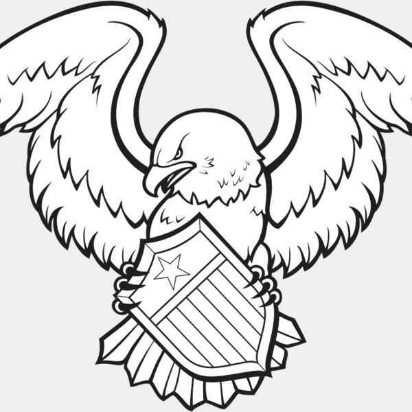 USA Eagle10 Thumbnail