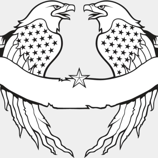 USA Eagle13 Thumbnail