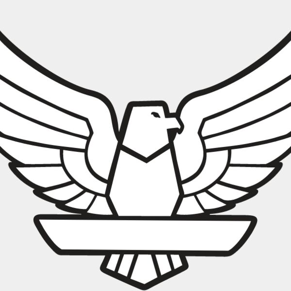 USA Eagle5 Thumbnail