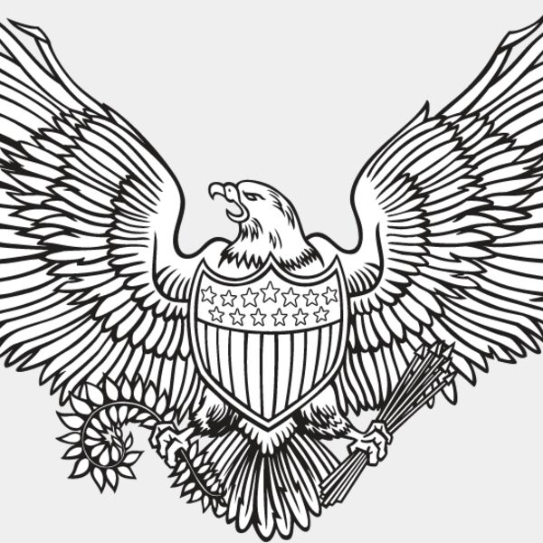 USA Eagle1 Thumbnail