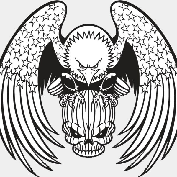 USA Eagle12 Thumbnail