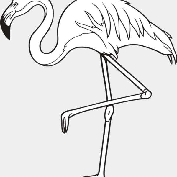 Flamingo Thumbnail