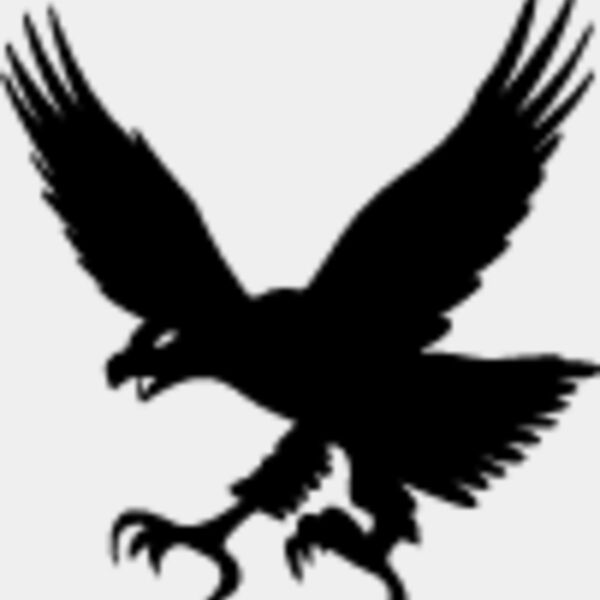 Flying Eagle Silhouette8 Thumbnail